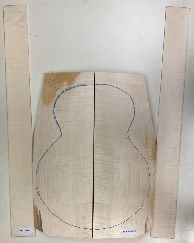 Boden & Zargen Ahorn, europ. Archtop Einzelstück #023